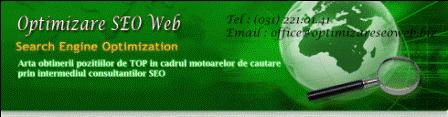 Optimizare SEO Web SRL