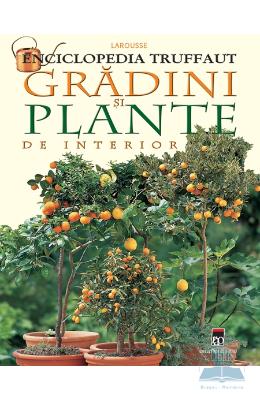 Gradini si plante de interior