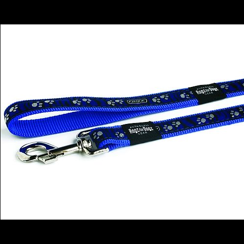Lesa Paws on Blue Zebra Scooter 16 mm / 1 4 m