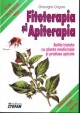 Terapii naturiste, Fitoterapia si apiterapia